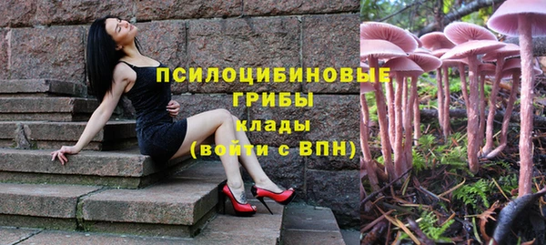 молекула духа Алзамай