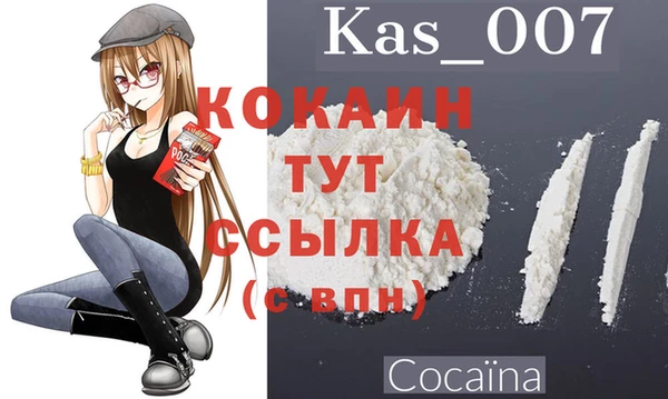 шишки Алексин