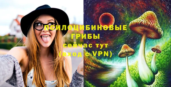 молекула духа Алзамай