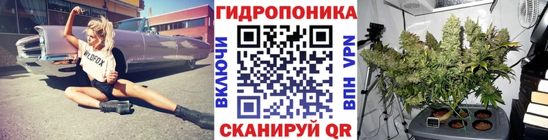 как найти закладки  блэк спрут как зайти  Каннабис Ganja  Моздок 